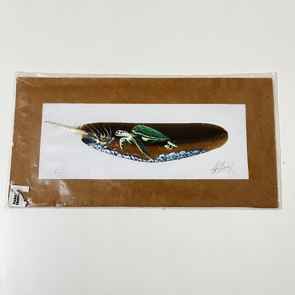 Costa Rica Painted Feather of a Turtle Parque Nacional Tortuguero